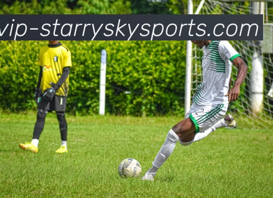 星空体育平台生态图