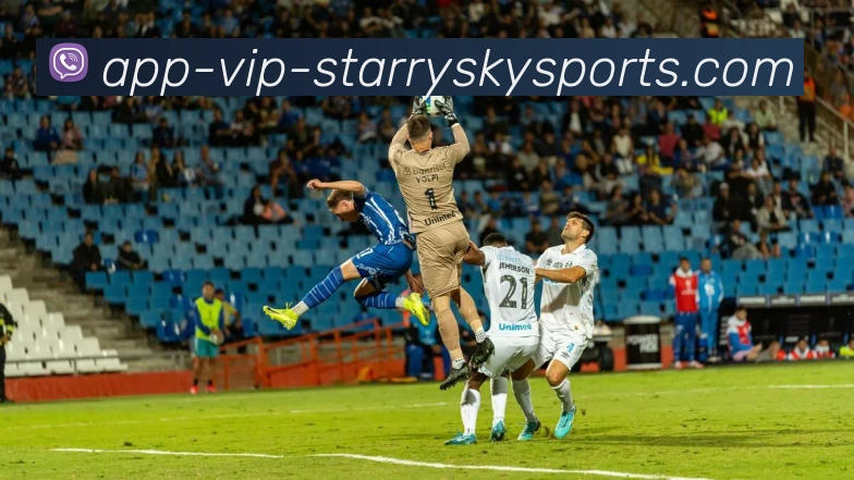 星空体育APP 封面图